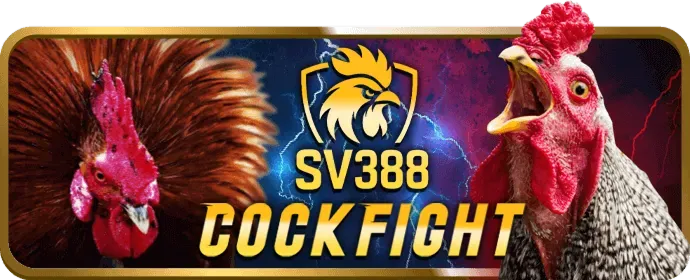 Người chơi đặt cược tối đa để săn jackpot tại vn68 casino